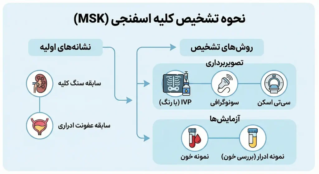 نحوه تشخیص کلیه اسفنجی
