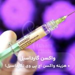 واکسن گارداسیل ، واکسن اچ پی وی