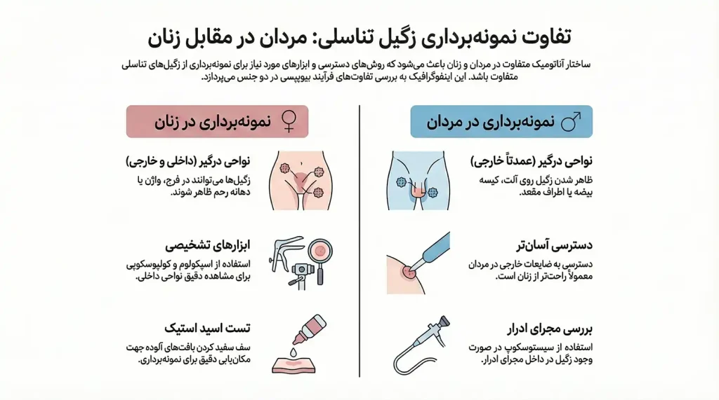 تفاوت نمونه برداری زگیل تناسلی در مردان و زنان