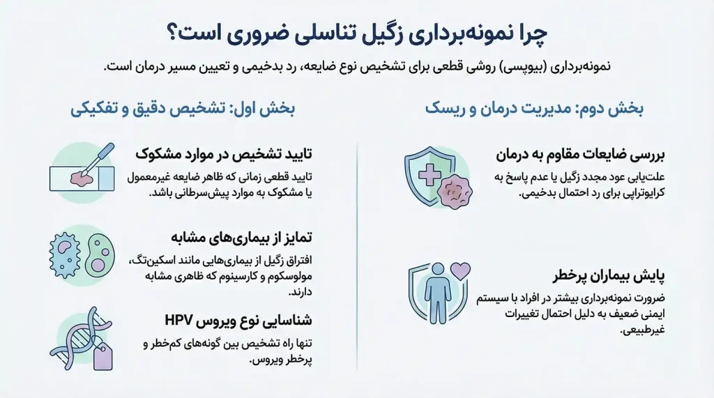 کاربرد نمونه برداری زگیل تناسلی