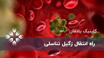 زگیل تناسلی چیست؟