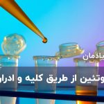 دفع پروتئین از طریق کلیه و ادرار، علائم و درمان