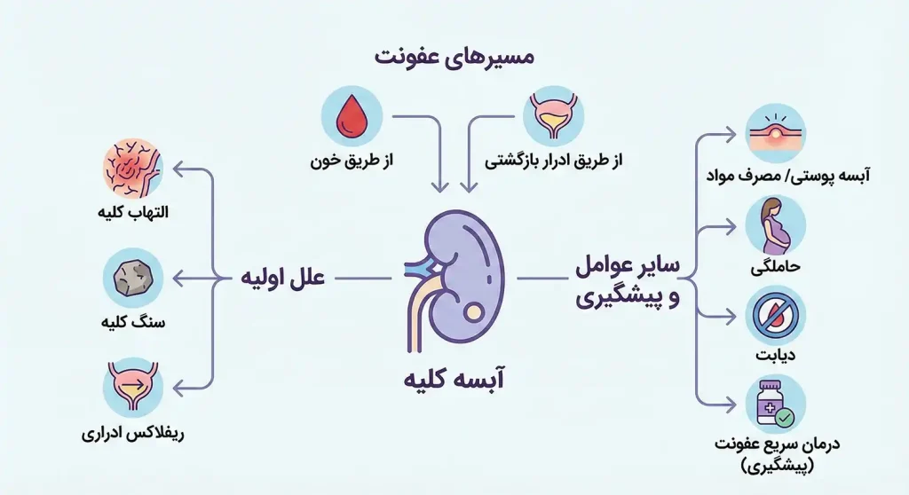 علل آبسه کلیه