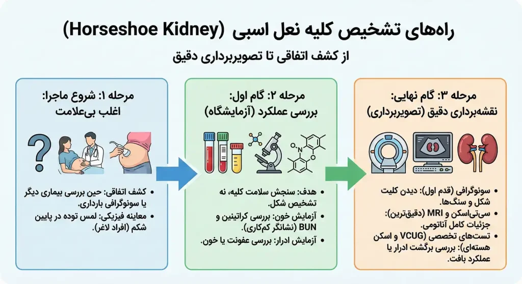 راههای تشخیص کلیه نعل اسبی