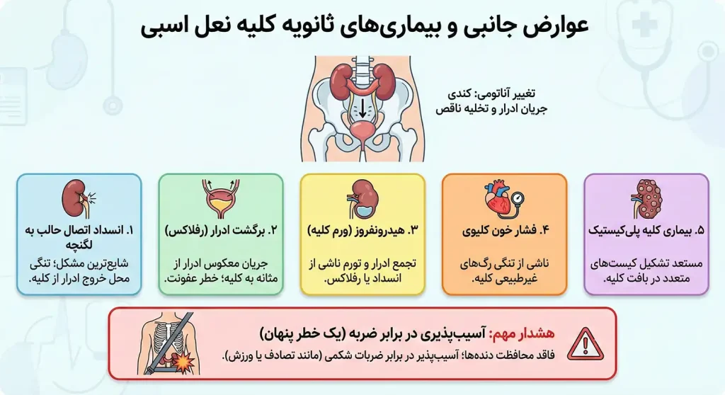 عوارض جانبی و بیماریهای ثانویه کلیه نعل اسبی
