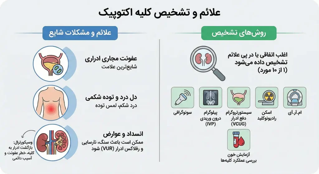 علائم کلیه اکتوپیک یا کلیه نابجا