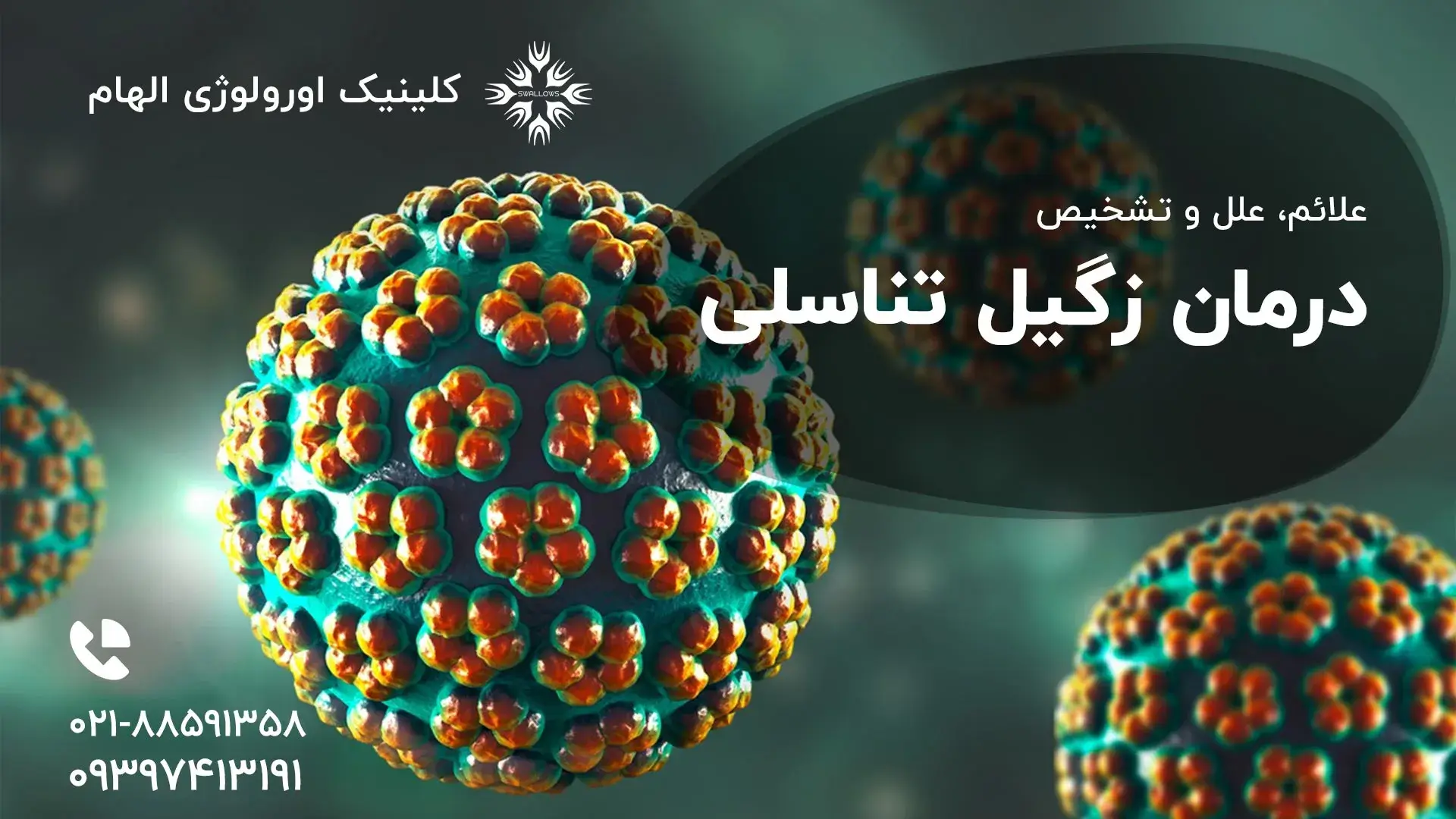 genital-wars-hpv2 درمان زگیل تناسلی