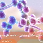 انواع عفونت های مخمری و واژن + علائم، علل و درمان