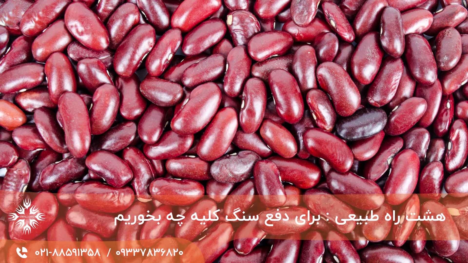 مواد غذایی مفید برای دفع سنگ کلیه