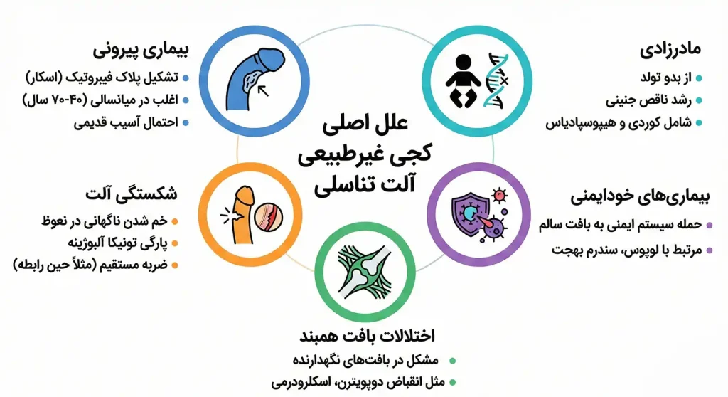 علل بروز کجی آلت تناسلی