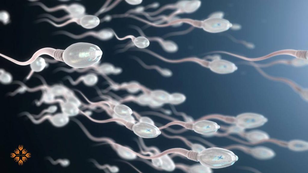 کاهش اسپرم در مردان