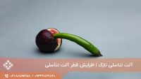 افزایش آلت تناسلی
