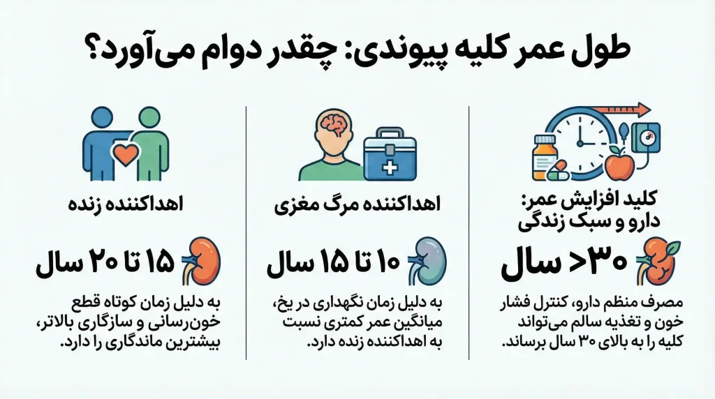 عمر مفید کلیه پیوندی چقدر است