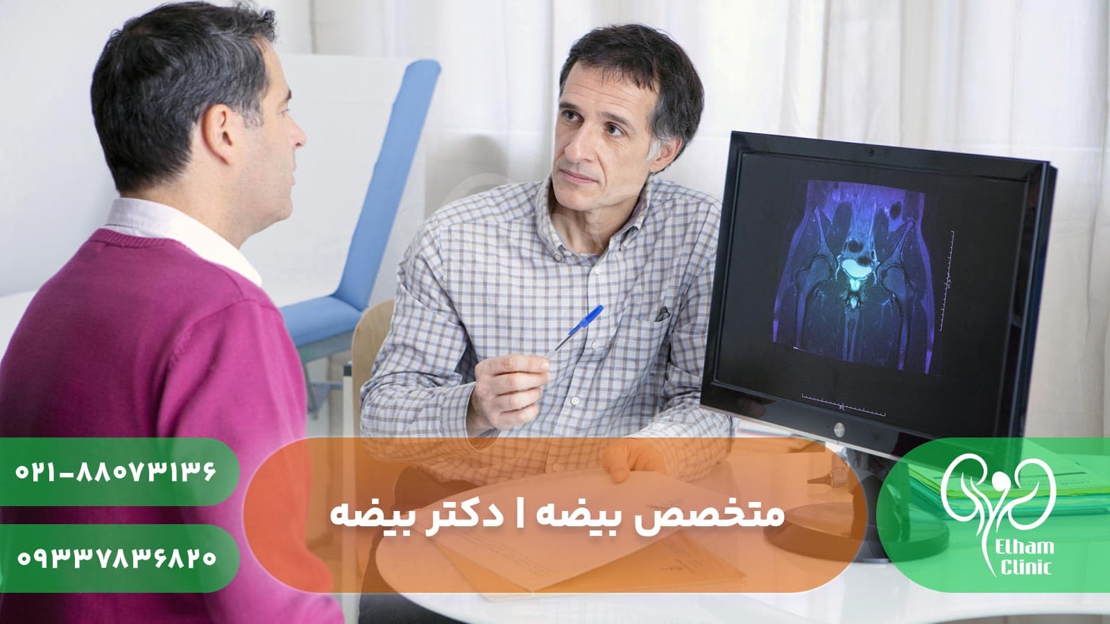 دکتر متخصص بیضه در تهران