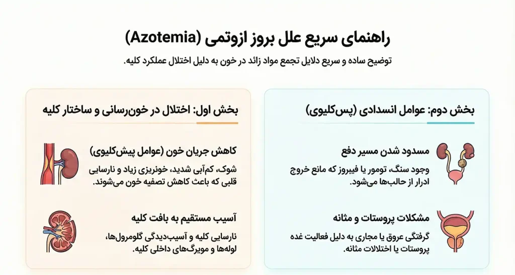 علت ابتلا به ازوتمی