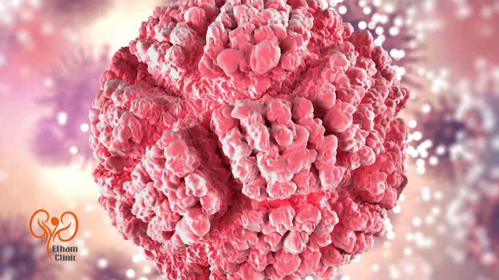 انواع ویروس های اچ پی وی HPV