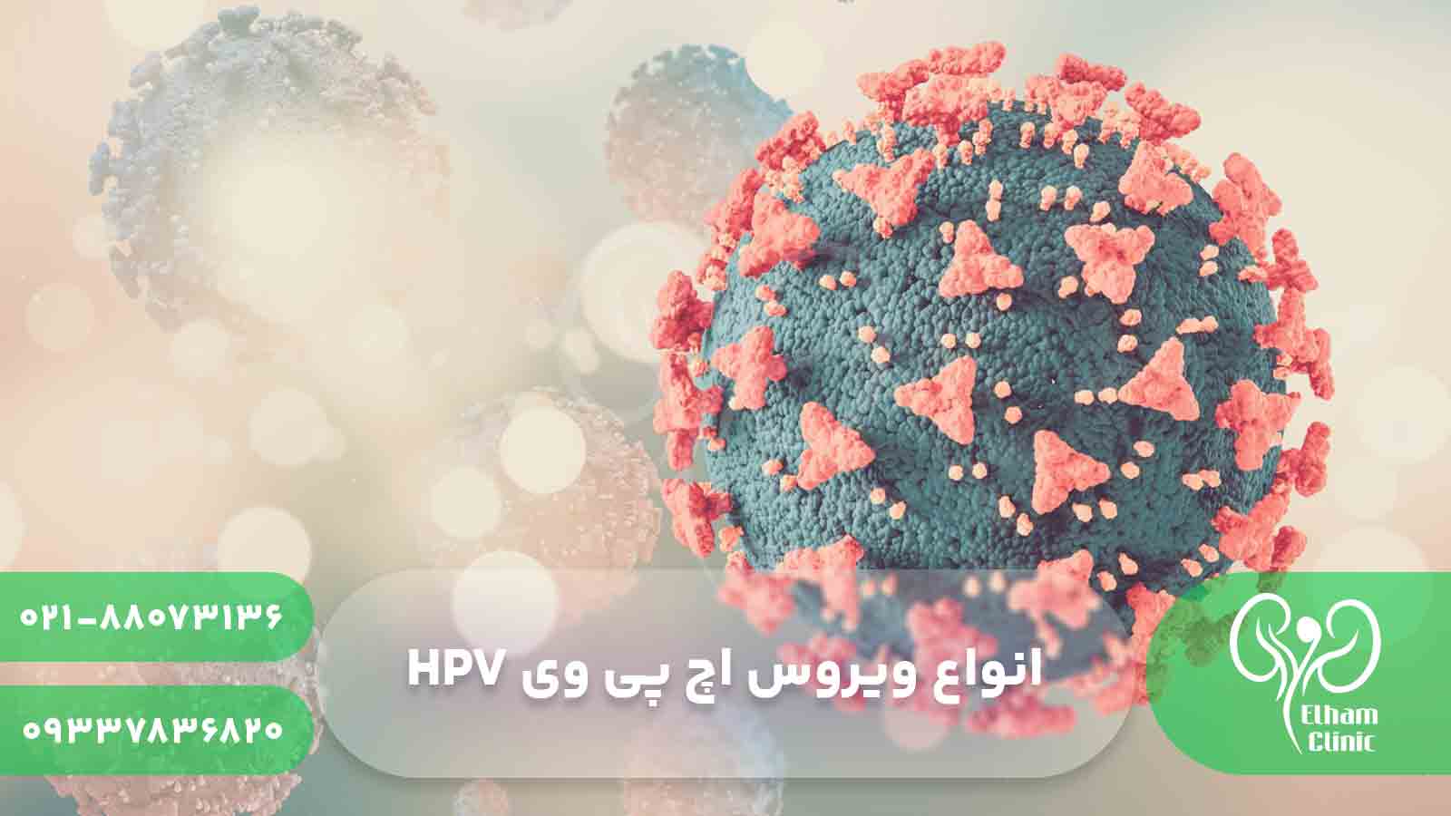 انواع ویروس اچ پی وی HPV