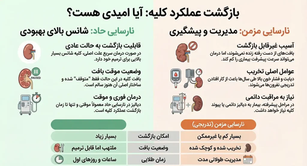آیا کلیه از کار افتاده دوباره فعال میشود