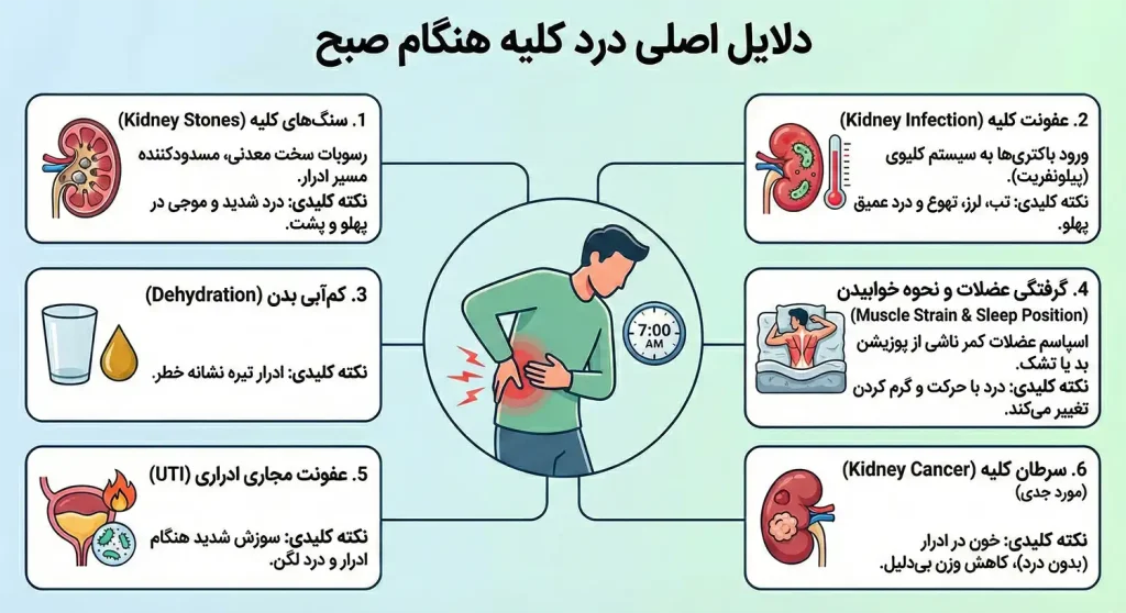 علت درد کلیه در صبح چیست